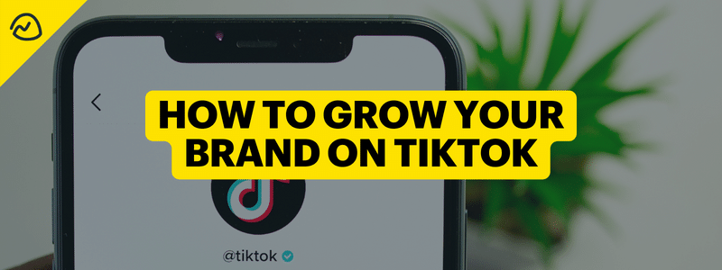 How to Grow Your Brand on TikTok