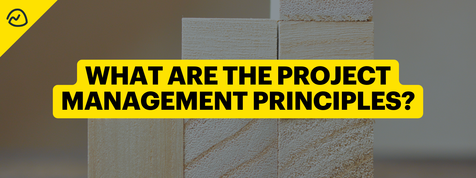 research and describe the principles of project management