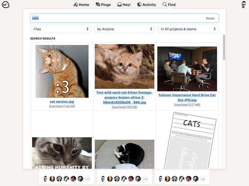 searching for cat pics in Basecamp