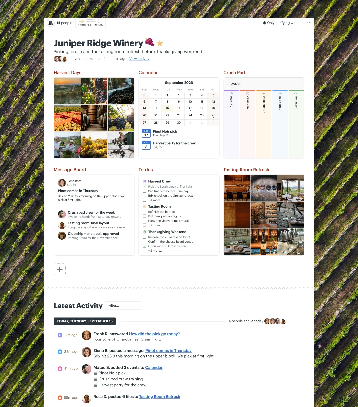 A winery harvest project in Basecamp with a Message Board, Docs & Files, a Calendar, To-dos, and Automatic Check-ins